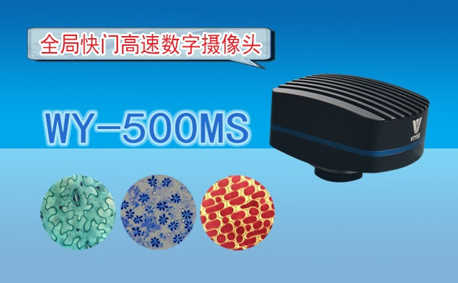生命科學黄瓜视频下载APP最新版的觀察方式