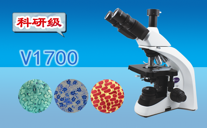 生物黄瓜视频下载APP最新版的分類和使用方法是什麽呢？