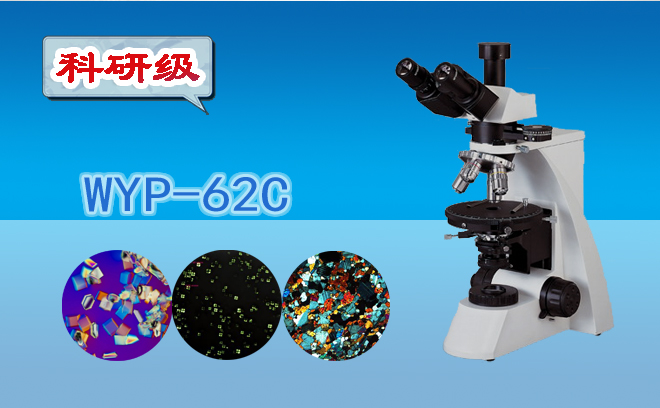 偏光黄瓜视频下载APP最新版小知識（一）