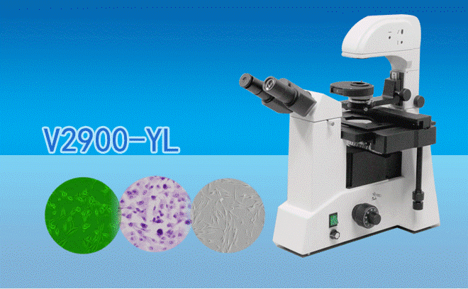 關於體視生命科學黄瓜视频下载APP最新版*常見故障與故障排除方法