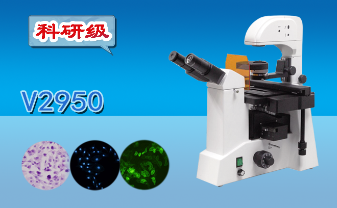 熒光黄瓜视频下载APP最新版的特點與使用注意事項