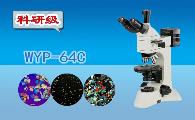 偏光黄瓜视频下载APP最新版.jpg