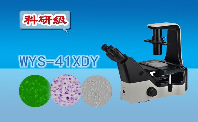 倒置熒光黄瓜视频下载APP最新版.jpg