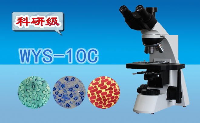 生物黄瓜视频下载APP最新版.jpg