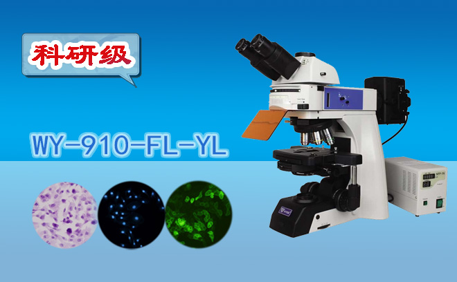 1671081533186168.png 熒光黄瓜视频下载APP最新版.png