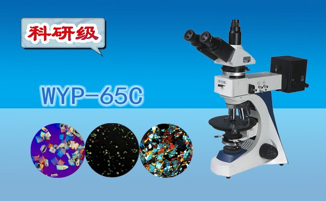 偏光黄瓜视频下载APP最新版.jpg