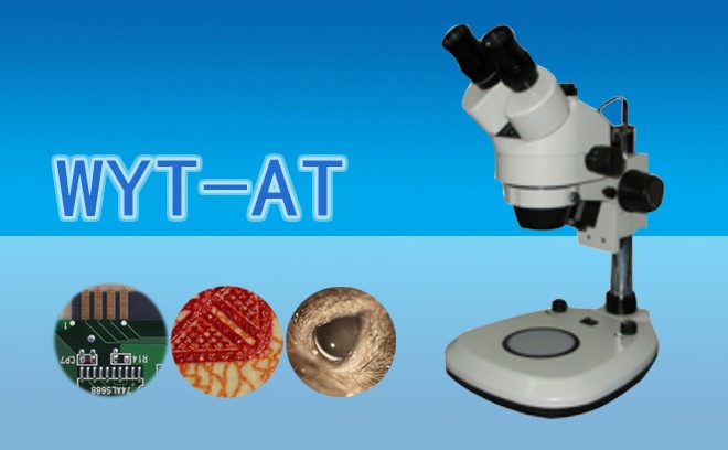 體視黄瓜视频下载APP最新版在珠寶鑒定領域中能使用嗎？——三維視角下的寶石“身份密碼”